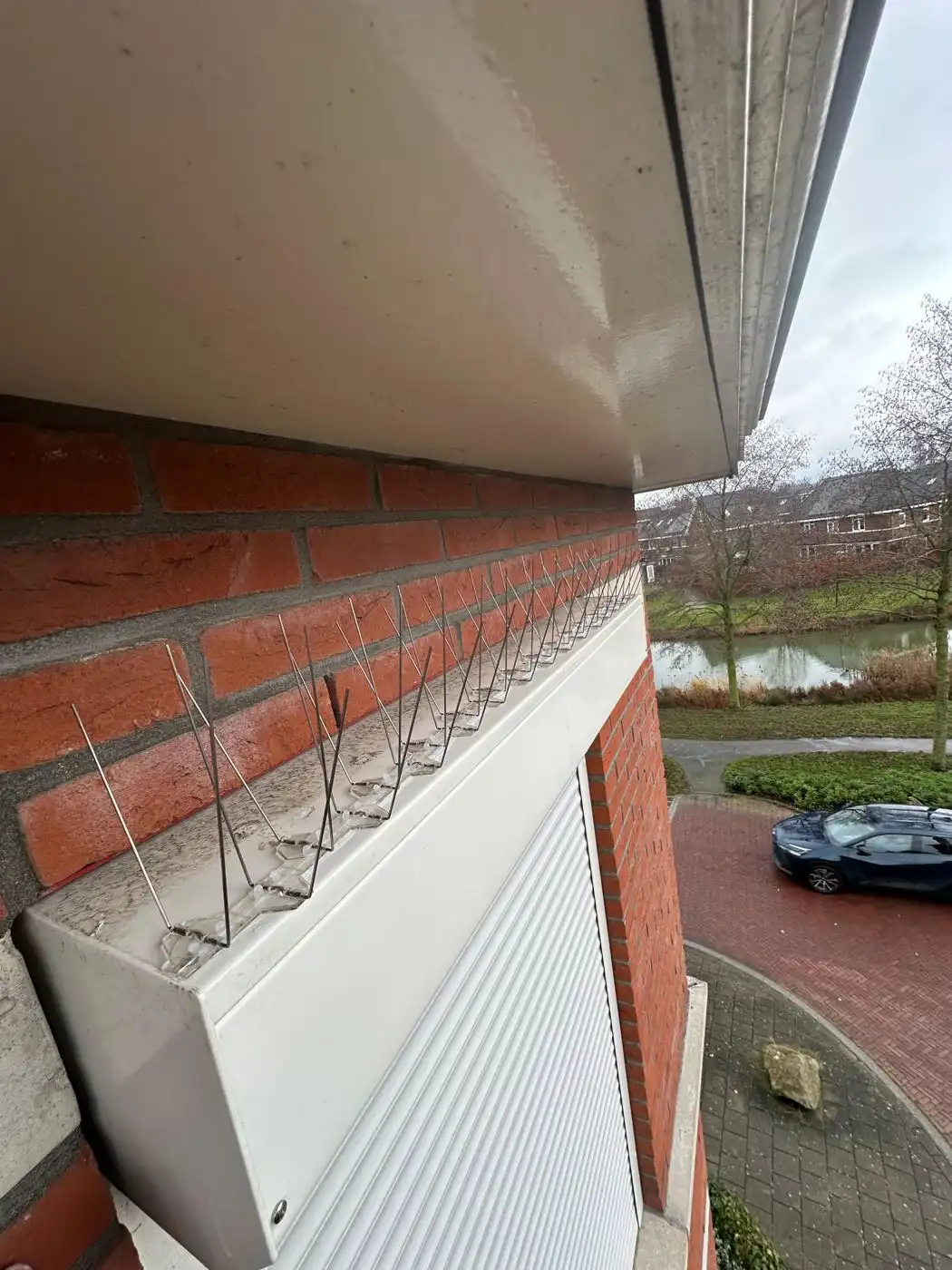 RVS-pinnen op een rolluikbak tegen vogels